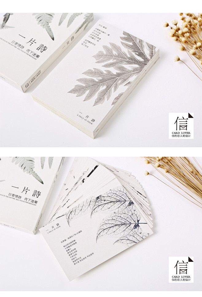 信的恋人《一片诗》明信片手绘植物树叶诗词...