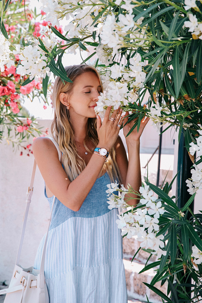 Blue, white & flower...