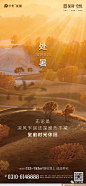 保利·堂悦 处暑3