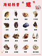 16种螺