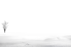 Awens采集到冬季、雪