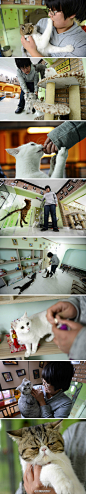 【和“喵星人”一起创业】“80后”的高明在哈尔滨市拥有一家“喵吧”咖啡屋，她与16只猫咪“共同”经营着这间充满治愈感的小店，她希望运用“科学养猫”理念，鼓励人们对流浪猫多一些关爱，加入拯救城市流浪动物的队伍中。一起来走进他们的世界吧！