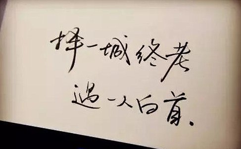手写字变现背后的财富洞见丨塔兰特成长力_...