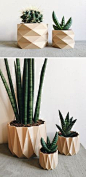 These modern and intricate geometric planters by Minimum Design are 3D printed products made from recycled wood fibers and bioplastic, making them biodegradable.