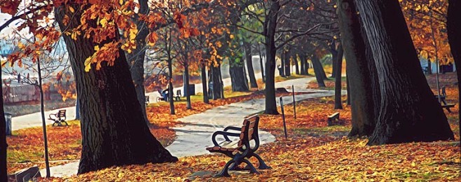 秋天2011年10月风景壁纸-桌面背景-...