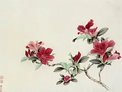 国画 杜鹃花的搜索结果_百度图片搜索