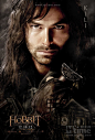 霍比特人：意外之旅The Hobbit: An Unexpected Journey(2012)角色海报 #14