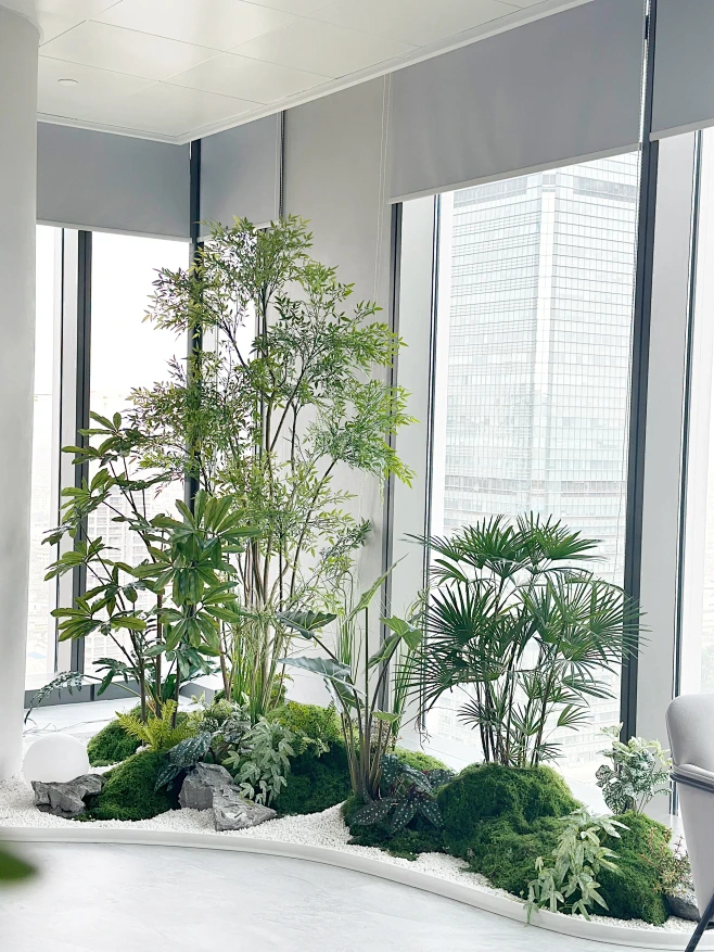 回访两个月前做的仿真 真植物办公室造景-花瓣网