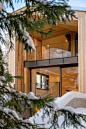 CAREZZA住宅，意大利 / monovolume architecture + design - 谷德设计网