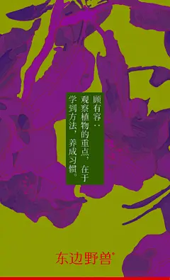 顾有容：观察植物的重点，在于学到方法，养成习惯