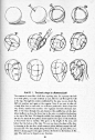 Andrew Loomis - Drawing the Head and Hands0017