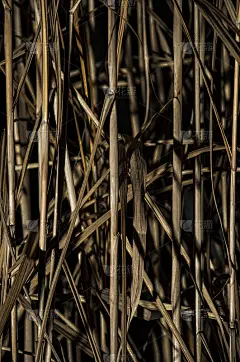 夜间干燥的褐色草。