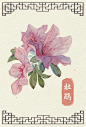 水彩手绘花卉-阿昕_水彩,手绘,小清新,插画,花卉,植物_涂鸦王国插画