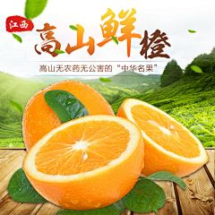 小熊饼干鸭采集到主图