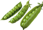 Pea PNG