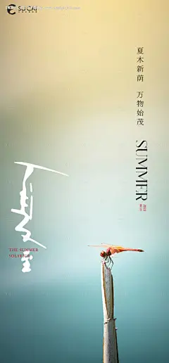 源文件下载【夏至海报】编号：20220615162825814