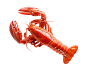 龙虾