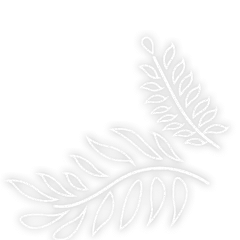 小草装饰素材简约动态贴纸