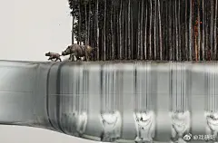 世界自然基金会（WWF）的这张海报放大后太惊艳了 : 世界自然基金会（WWF）的这张海报放大后太惊艳了