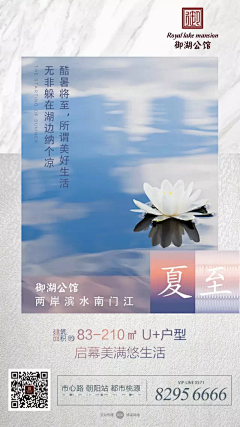 ___木左左采集到节日节气