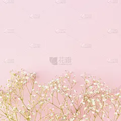 以粉红色为背景，用花朵做成的富有创意的粉彩春画。最小的花卉概念与复制空间。婚礼、复活节或母亲节的灵感