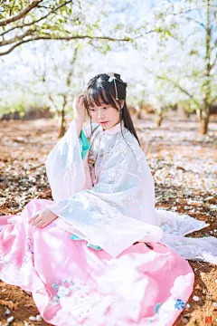 梨花落 - Yula - 图虫摄影网