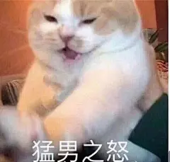 （Ｕ・ω・）⊃把你们最近存的小动物表情包都给我交出来！喏，我存的都在这里了！ ​​​​
