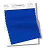 Pantone-Fashion-Color-Trend-Report-London-Spring-Summer-2019-Swatch-Princess-Blue.jpg