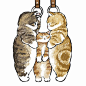 可爱猫插画 (13)