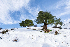 为爱守望采集到冰雪世界