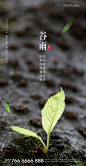 【源文件下载】 海报 房地产 二十四节气 谷雨