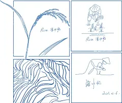 水稻简笔画  - 源文件下载【酷图网】水稻,插秧,梯田,海水稻,稻田,手绘,