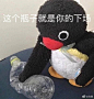 来自分享