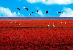 旅行 美图 壁纸 爱上微杂志