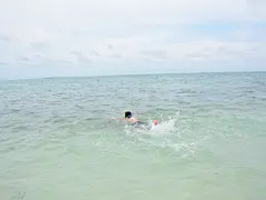 马来西亚亚庇--仙本那--吉隆坡7天自由之旅【二】