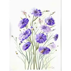 【花卉插画系列图集下载】创意叶子草本花卉绘画/抽象植物绘画临摹作品/水彩iPad手绘作品