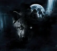 华硕 Zenfone AR 内置手机壁纸贴图