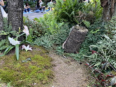 郝妞是好妞采集到2023年大湾区花展