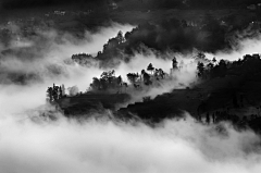 口可乐口采集到风景