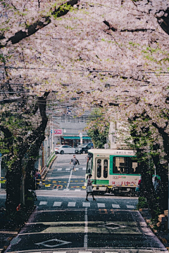 『沉眠』采集到景