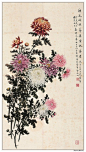 名家国画作品 —— 《菊花》