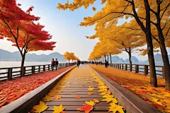 秋风红叶的秋季海边小路落叶摄影图片