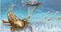 远古海洋种的蝎子，巨型羽翅鲎到底长什么样子？