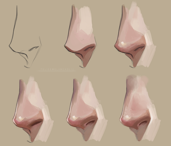 Nose tutorial. Step ...