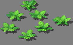 沁/love沁采集到植物
