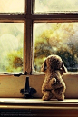 每天趴在窗户边等你回来，是我一天当中最快乐的一刻。
