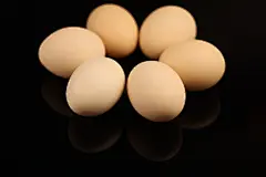 鸡蛋，蛋白质，黑色，美食，食物，易碎，蛋壳，水煮蛋，新鲜鸡蛋，健康，复活节，白色，早餐，营养，818A6814 – 饿狐背景网站-微距高清设计素材免费图片下载海报壁纸摄影背景素材，背景图，背景墙，背景板，背景图片，背景纹理，背景板设计，背景材质，背景大图