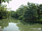 十月五日游杭州西溪国家湿地公园掠影之三 西溪湿地公园, 点子222旅游攻略