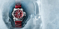 Victorinox Swiss Army