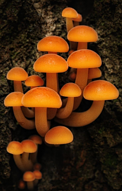 我有左耳采集到摄影/镜头/美图/素材
